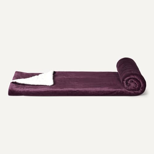 Amazon Basics Reversible Sherpa Throw Blanket, Velvety Flannel, Ultra Soft - Image 4