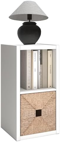 2 Cube Storage Organizer Shelf by CTESNE