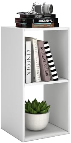 2 Cube Shelf Bookcase by CTESNE