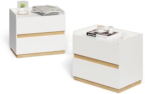 Low 2 Drawer Dresser, Stackable Wooden Closet Drawers by DAELIFKER