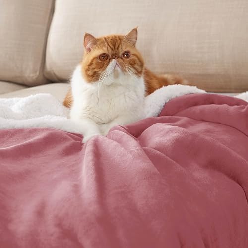 Bedsure GentleSoft Sherpa Fleece Blankets King Size - Image 2