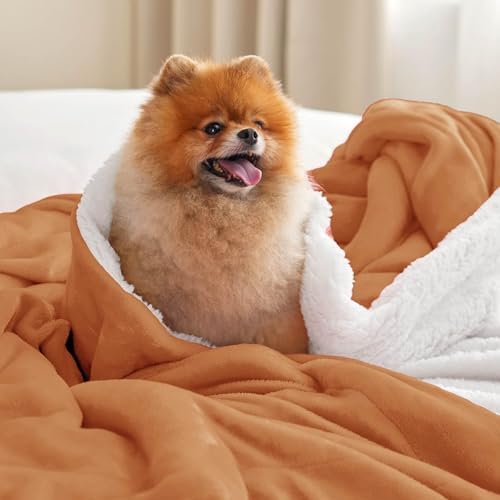 Bedsure GentleSoft Sherpa Fleece Blankets King Size - Image 2