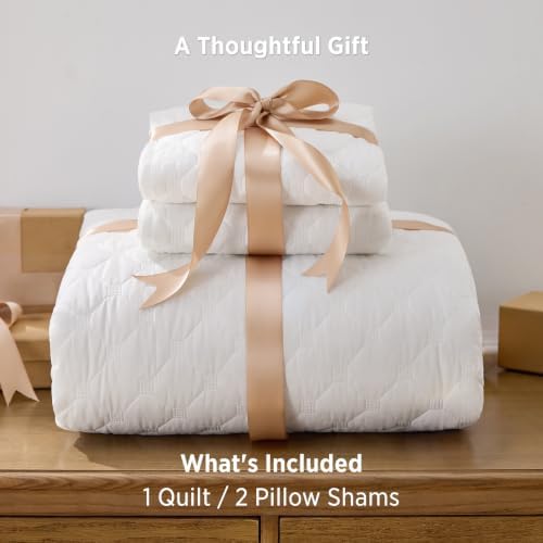 Bedsure Quilts Queen Size, Classic Honeycomb Quilting Comforter Set White - Image 7
