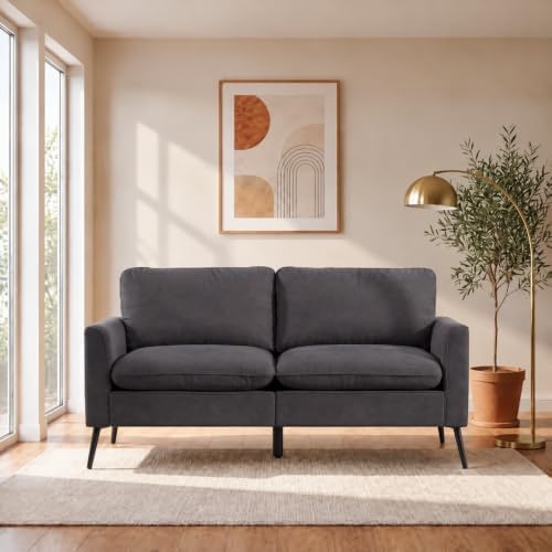 Retro Leather Loveseat Sofa, 2-Seat Couch by Outdoorchairs