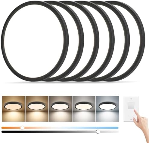 11.4 Inch LED Flush Mount Ceiling Light, 24W Dimmable & 5CCT 3000K-6500K by Unknown