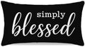 Throw Pillow Cover 12x20 Inch Simply Blessed by HERHOME