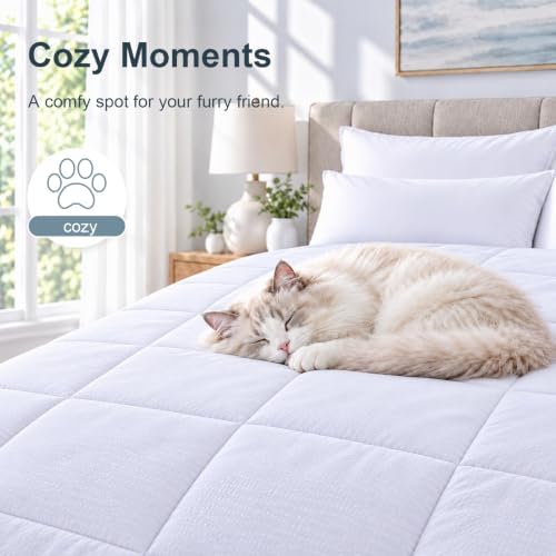 Homelike Moment California King Comforter - Image 5