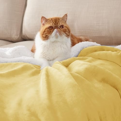 Bedsure GentleSoft Sherpa Fleece Twin Size Blanket - Image 2