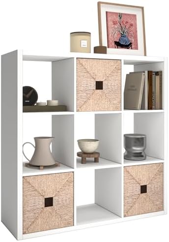 9 Cube Storage Organizer Shelf, 11 inch by CTESNE