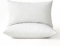 MIULEE Pillows Standard Size Set of 2 Down Feather Throw Pillows by MIULEE