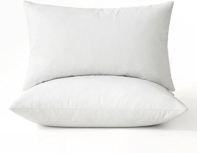 MIULEE Pillows Queen Size Set of 2 Down Feather Throw Pillows by MIULEE