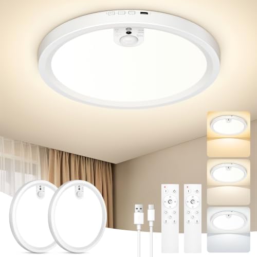 Redane 2 Pack Battery Powered Motion Sensor Rechargeable Ceiling Lights by Unknown