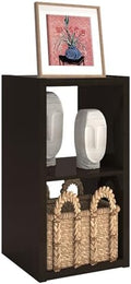 CTESNE【2026 Wooden Thick Frame 2 Cube Storage Organizer Shelf by CTESNE