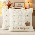 MIULEE Fall Pumpkin Pillow Covers 18x18 Cream White Fall Decor by MIULEE