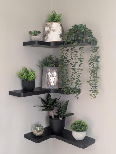 3 Pack Corner Shelf Wall Mounted - Image 3