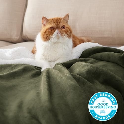 Bedsure GentleSoft Sherpa Fleece Twin Size Blanket - Image 2