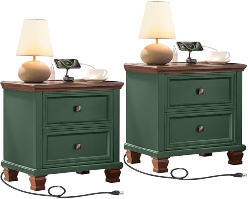 Nightstand Set of 2 with Charging Stations, 2 Drawers by SAVORLIFEFurniture