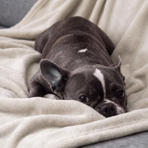 Bedsure Fleece Blanket Queen Blanket Linen Beige - Image 3