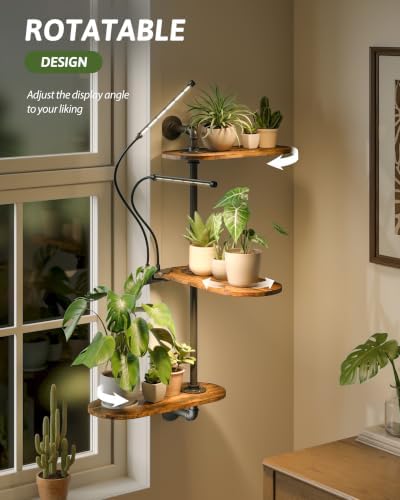 GENTINGBRO Rotating Wall Plant Shelf - Image 3