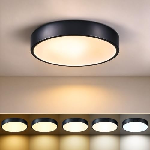 HLightnet Flush Mount Ceiling Light Black LED Dimmable 5CCT 11.8 Inch 24W by HLinghtnet