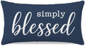 Decorative Lumbar Pillow Cover 12x20 Inch Simply Blessed by HERHOME