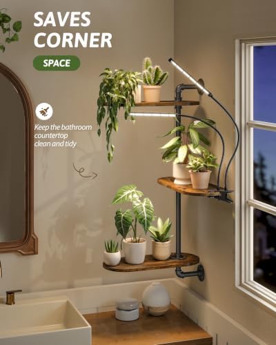 GENTINGBRO Rotating Wall Plant Shelf - Image 5