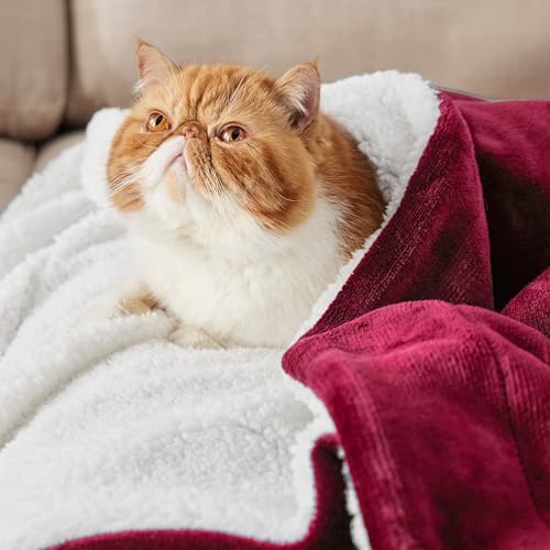 Bedsure GentleSoft Sherpa Fleece Blanket Queen Size - Image 2