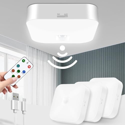 Rechargeable Motion Sensor Ceiling Light by WhitePoplar