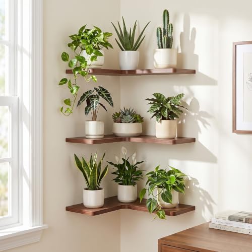 3 Pack Corner Shelf Wall Mounted by Hoolicute