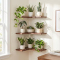 3 Pack Corner Shelf Wall Mounted by Hoolicute