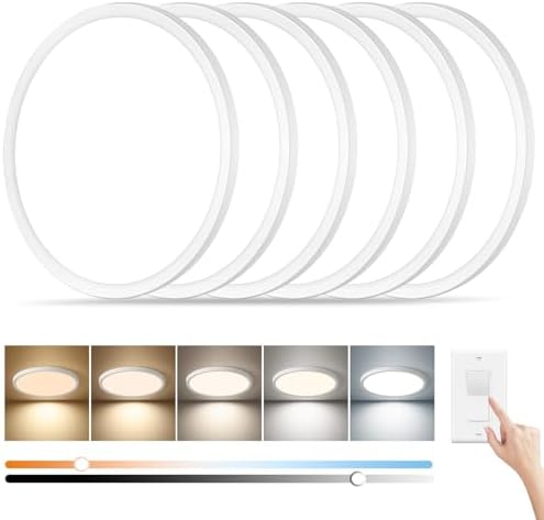 11.4 Inch LED Flush Mount Ceiling Light, 24W Dimmable & 5CCT 3000K-6500K by Unknown