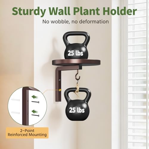 LASZOLA 4Pcs Wall Mount Plant Shelves - Image 3