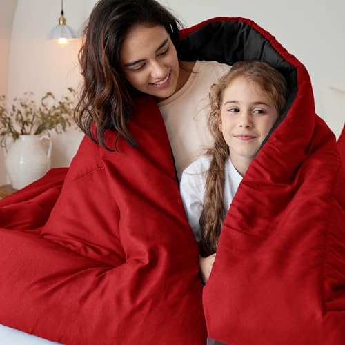 Exclusivo Mezcla Reversible Soft Twin Comforter Set, 2 pieces - Image 3