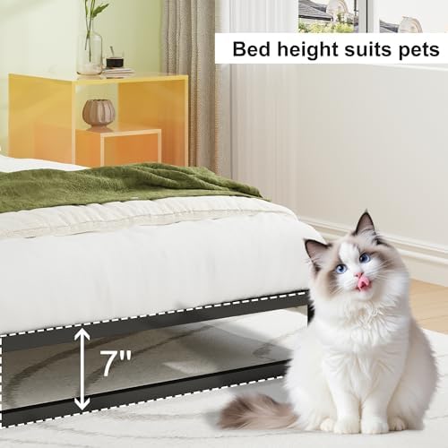 EMODA 7 Inch Queen Bed Frame No Box Spring Needed, Easy Assembly - Image 5