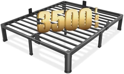 10 Inch Queen Metal Bed Frame by FUIOBYVV