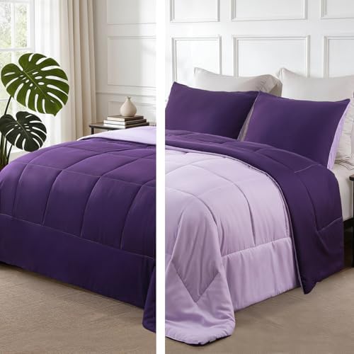 Exclusivo Mezcla Reversible Soft Queen Comforter Set, 3 Pieces by ExclusivoMezcla