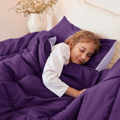 Exclusivo Mezcla Reversible Soft Full Comforter Set, 3 pieces - Image 3