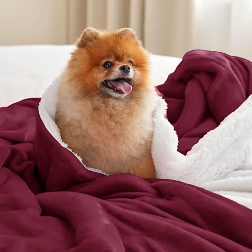 Bedsure GentleSoft Sherpa Fleece Throw Blanket - Image 2