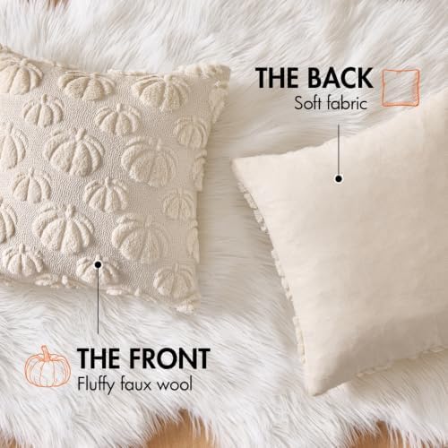 MIULEE Fall Decor Pillow Covers 20x20 Set of 2 Pumpkin Beige - Image 6