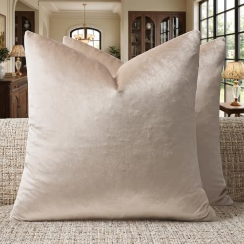 GIGIZAZA Velvet Pillow Covers 18x18 Decorative Pillows Pack of 2 Beige by GIGIZAZAFocusingonhomedecoration