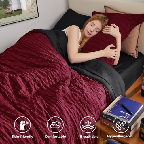 Twin XL Comforter Set - Image 2