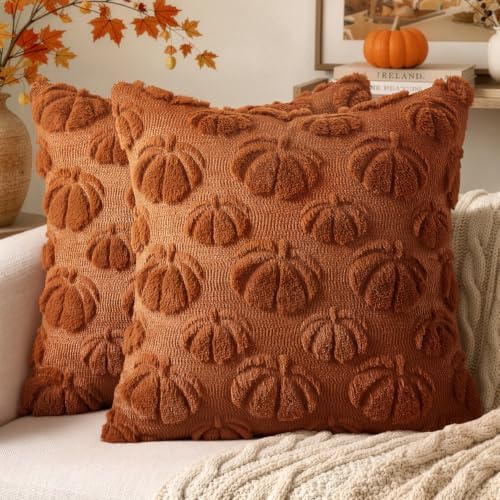 MIULEE Fall Decor Pillow Covers 24x24 Set of 2 Pumpkin Rust by MIULEE