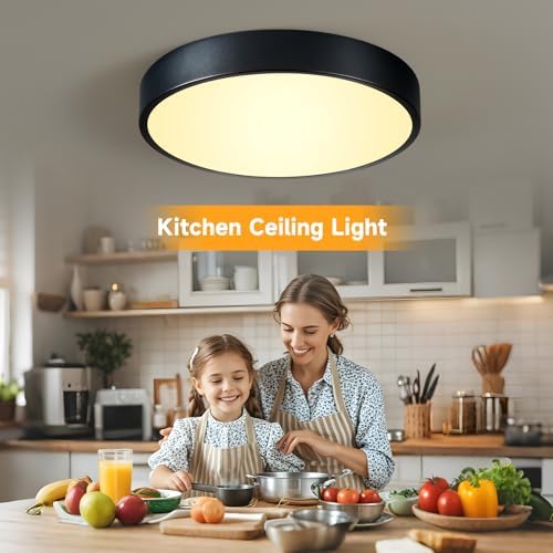 HLightnet Flush Mount Ceiling Light Black LED Dimmable 5CCT 11.8 Inch 24W - Image 4