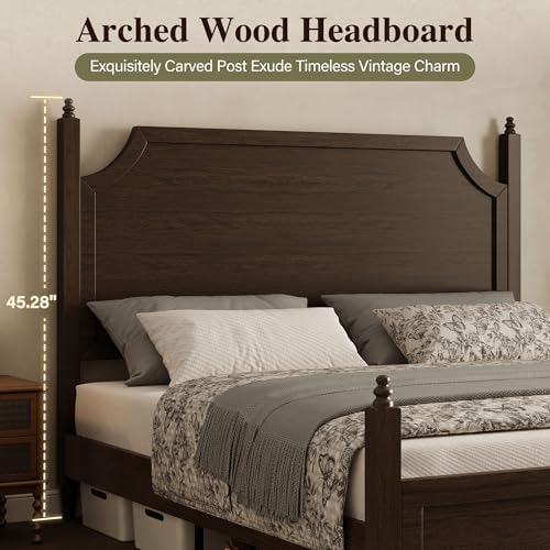 Belffin Wood Queen Size Bed Frame - Image 5