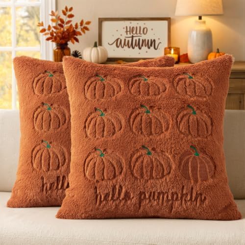 MIULEE Fall Pumpkin Pillow Covers 20x20 Rust Fall Decor by MIULEE