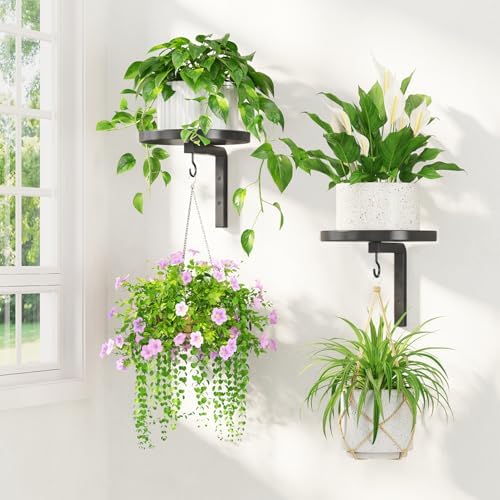 LASZOLA Plant Hanger Holder Window Shelf Wall Mounted Indoor by LASZOLA
