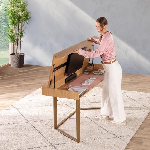 Transformer Table to Desk by TransformerTable