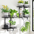 iDavosic.ly Wall Plant Holder Set of 2, 2 Tier Indoor Display Shelf by iDavosicly