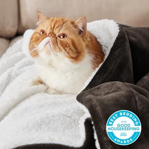 Bedsure GentleSoft Sherpa Fleece Throw Blanket - Image 2