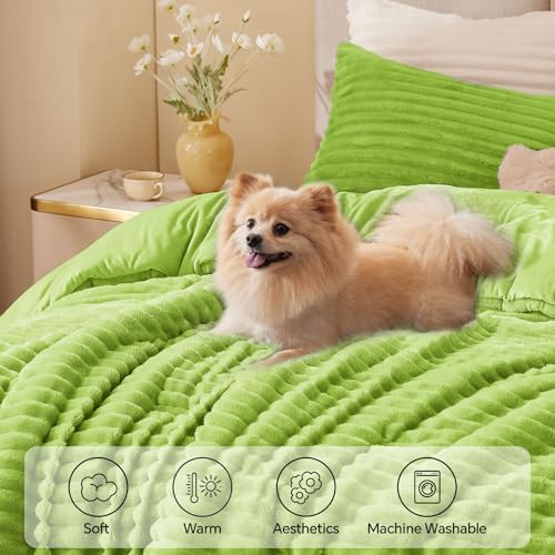 BEDELITE Fleece Queen Comforter Set, Fluffy Bed Set, Dark Citron - Image 3